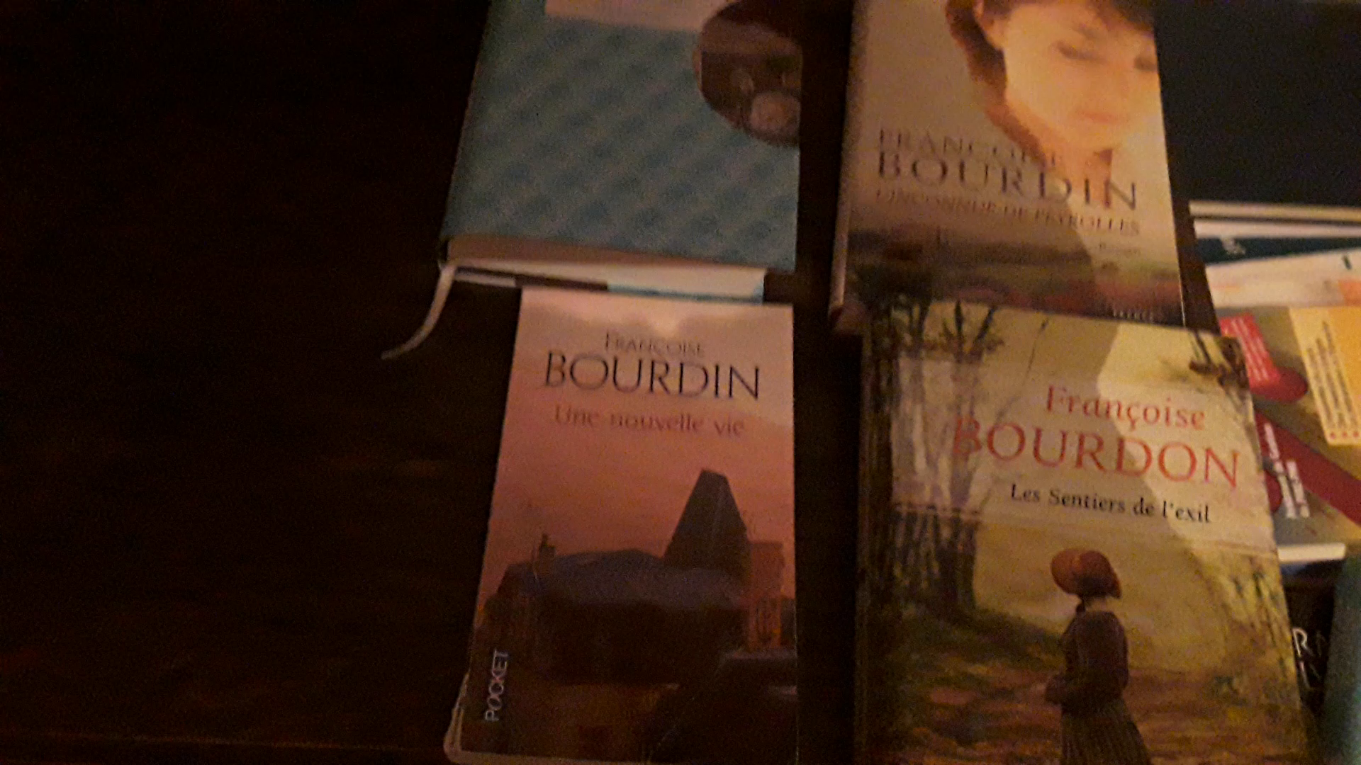 Lot de livre bourdin