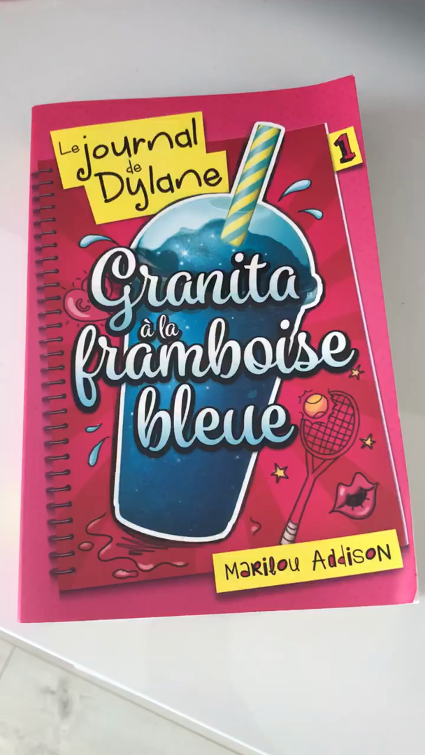 Le journal de Dylan
